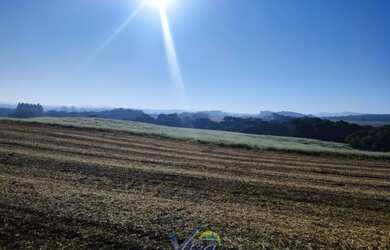 Imagem 3: Terreno rural em Campo Alegre para Venda