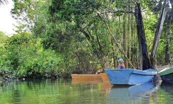 Imagem: SÍTIO NA VICINAL MAC LAREN ALTO ALEGRE