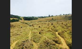 Imagem 2: Fazenda de 130 ha em Oliveira