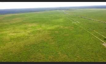 Imagem 4: Fazenda à venda com 4500 hectares em Brasnorte MT