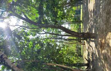 Imagem 3: Chácara 5000m2 próximo Rio Piracicaba