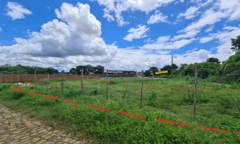 Imagem 4: Lotes no Loteamento São Francisco, Angelim