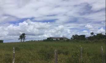 Imagem 2: FAZENDA EM SÃO FELIPE-BA