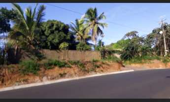 Imagem 3: Excelente Sítio