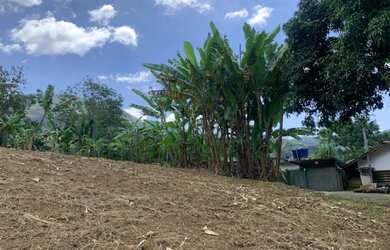 Imagem 5: Terreno de 1.559 m² no bairro de Amparo