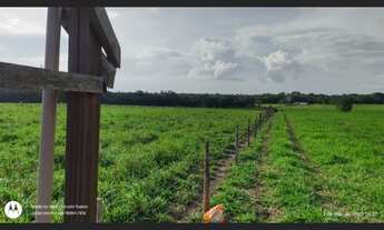 Imagem 4: 17 alqueires com 15 abertos pronta fica a 30 km de Castanhal-PA por R$1.300.000