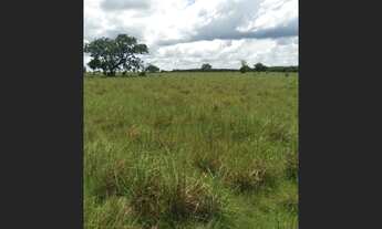 Imagem: Fazenda no municipio de Araguacema - TO