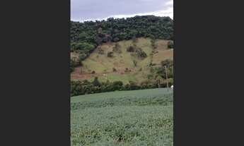Imagem 2: Chácara 2 alqueires a 5 Kilometros de jardim alegre PR a 2 km do asfalto