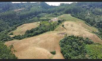 Imagem 7: Sítio para Venda 26 hectares altamente produtivo em Vidal Ramos Santa Catarina