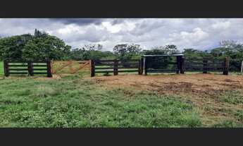Imagem 4: Fazenda - à venda - 5.000ha- Sena Madureira-AC