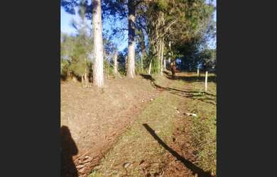 Imagem 7: Permuta chácara