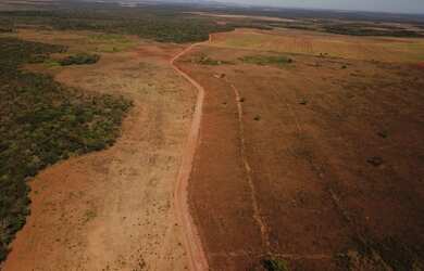 Imagem 9: 888 Alqs Arrendamento Disponivel Pra Soja Vale do Araguaia TO