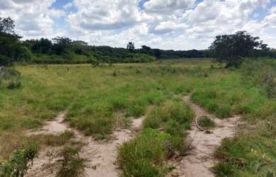 Imagem 7: Fazenda de 332 ha em Curvelo