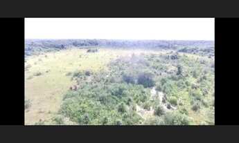 Imagem: Fazenda com 112,5 hectares em Colares 80