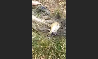 Imagem 3: Sítio no povoado lagoa do rancho