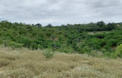 Imagem 3: Terreno 20 Tarefas de Terra