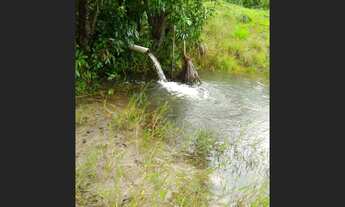 Imagem 6: 110 Alqs Dupla Aptidão Rio Beira Asfalto Região Palmas TO