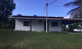 Imagem: Fazenda na região de Alagoinhas