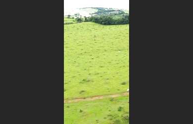 Imagem 10: Fazenda de 404 há em Oliveira