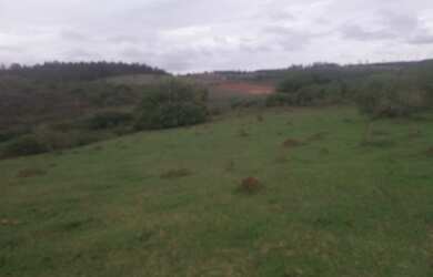 Imagem 4: Terreno de 29 há em Passa Tempo MG