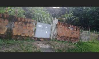 Imagem: V/T em paulista