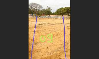 Imagem 6: Terreno em Maragogi