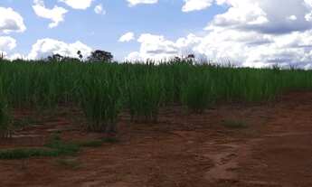 Imagem 5: Fazenda do Município de Uberaba