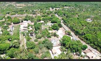 Imagem: Vendo excelente Sítio, todo murado em Ribamar