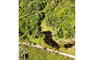 Imagem 2: PROPRIEDADE COM 40 HECTARES DISPONÍVEL PARA VENDA EM SÃO BENEDITO ✨