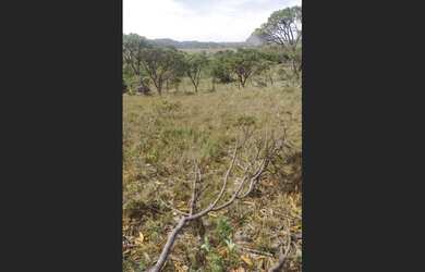 Imagem 6: Lote cercado condominio