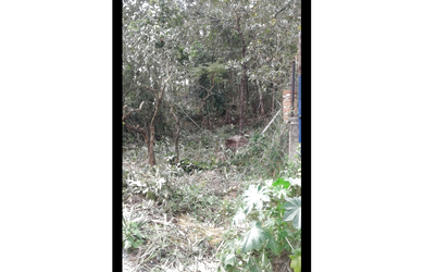 Imagem 3: Lote 694 m2 Terreno / lote com venda por R$150.000