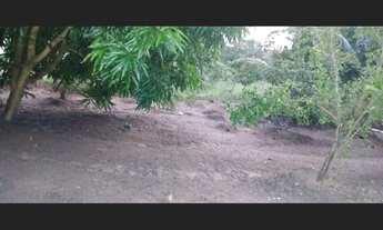 Imagem 3: Mine sítio Fazenda / sítio com 2 dormitórios