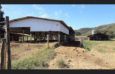 Imagem 6: Fazenda Produtora de Leite