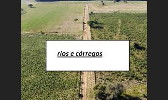 Imagem 5: 669 Alqs Plantando a 5 Anos Rios Plana Região Palmas TO