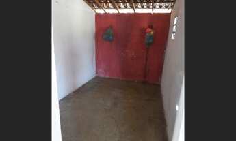 Imagem 2: Propriedade cajazeiras