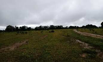 Imagem 6: Fazenda em Paranatinga -MT