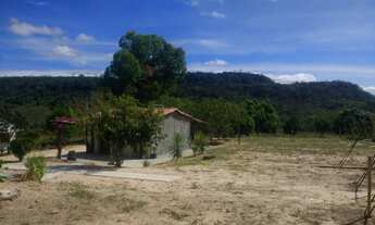 Imagem 2: Sítio 13 hectares em Barra da Estiva-Ba