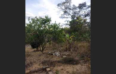 Imagem 6: CHACARA QUILOMBO DO GAIA