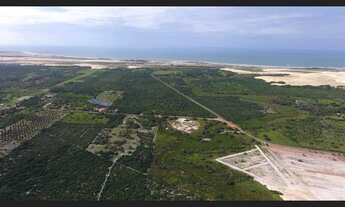 Imagem 7: Novo loteamento em Flecheiras