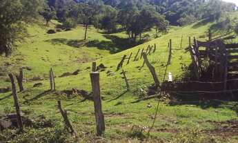 Imagem 7: Chácara 2 alqueires a 5 Kilometros da cidade de jardim alegre a 2 km do asfalto