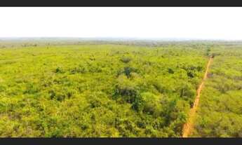 Imagem: 714 Alqs Pra Soja Bruta Região Tuntum MA