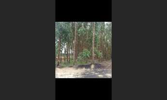 Imagem 6: Fazenda de 164 há em Ituiutaba MG