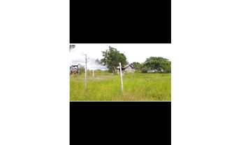 Imagem 6: 2 Lotes na Vicinal 14 de Entre Rios-Roraima