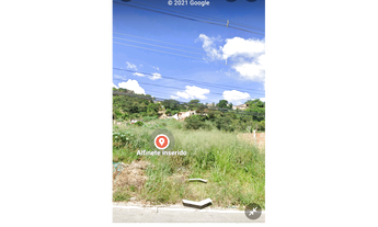 Imagem 2: Lote plano de 360 mt em Ibirité