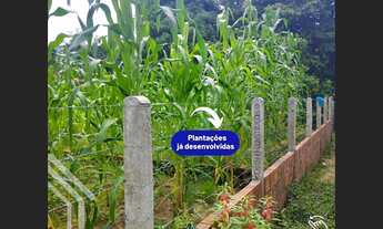 Imagem 3: EXCELENTE TERRENO IDEAL PARA UMA CHÁCARA NA CIDADE DO GRAÇA