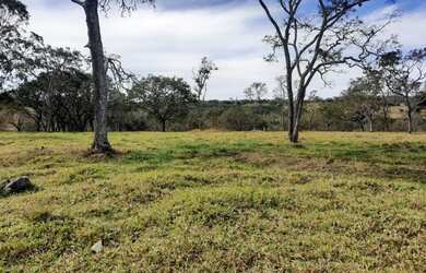 Imagem 16: Fazenda de 60 ha em Itapecerica MG