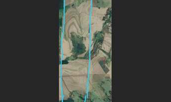 Imagem: Fazenda 113 alq