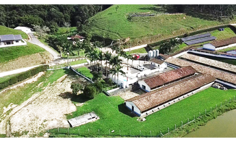 Imagem 4: GRANJA UPL (Unidade Produtora de Leitões) em Salete - SC