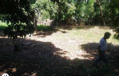 Imagem 5: Terreno para venda no município de Lidianópolis (Porto Bá