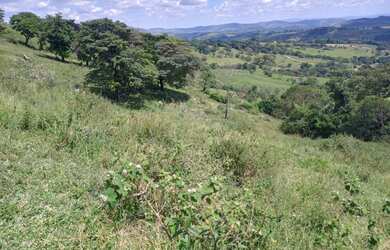 Imagem 6: Terreno de 30 há em Piracema MG